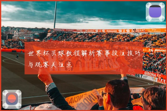 世界杯买球教程解析赛事投注技巧与观赛关注点